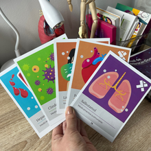 Cargar imagen en el visor de la galería, Guía clínica para enfermería y medicina + flashcards de farmacología