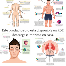 Cargar imagen en el visor de la galería, Libro en PDF: Examen físico en esquemas