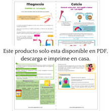 Cargar imagen en el visor de la galería, Flashcards de trastornos hidroelectrolíticos PDF