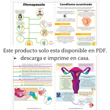 Cargar imagen en el visor de la galería, Flashcards de Ginecología y obstetricia PDF