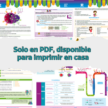 Cargar imagen en el visor de la galería, Libro en PDF: Manual de farmacología clínica (versión para imprimir)