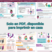 Cargar imagen en el visor de la galería, Libro en PDF: Experto en clínica (versión para imprimir)