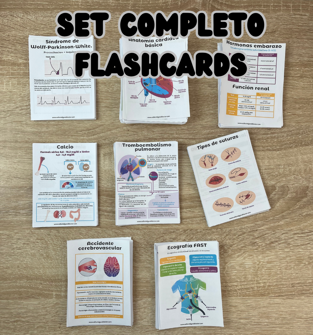 Set completo flashcards PDF