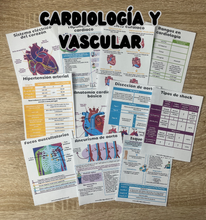 Cargar imagen en el visor de la galería, Flashcards de Medicina interna PDF
