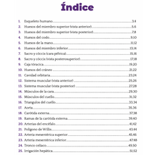 Cargar imagen en el visor de la galería, Libro en PDF: Anatomía para colorear (versión para imprimir)
