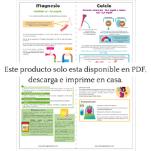 Cargar imagen en el visor de la galería, Flashcards de trastornos hidroelectrolíticos PDF
