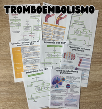 Cargar imagen en el visor de la galería, Flashcards de Medicina interna PDF
