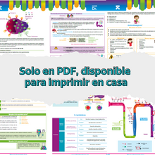 Cargar imagen en el visor de la galería, Libro en PDF: Manual de farmacología clínica (versión para imprimir)
